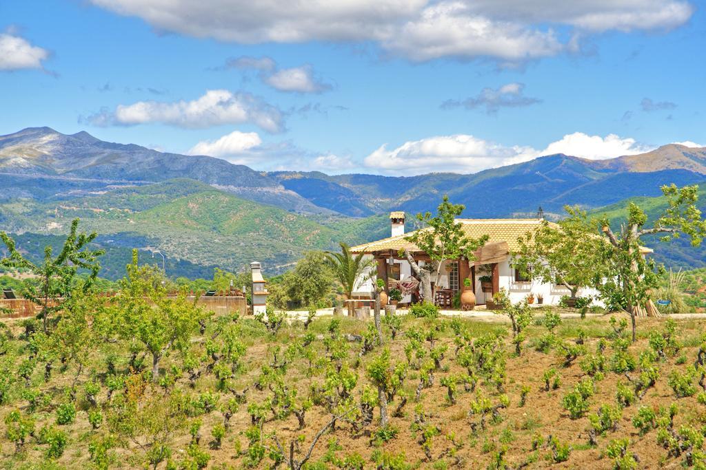 Casa Rural Júzcar Rom bilde